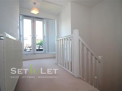 Picture 15